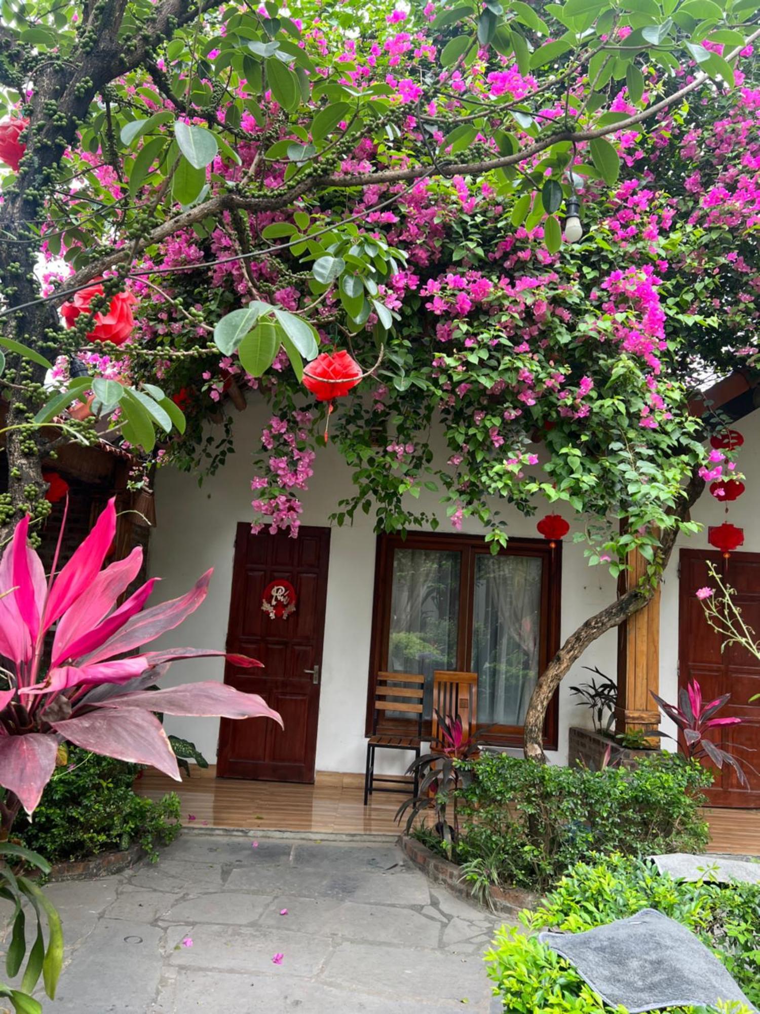 Tam Coc Serene Bungalow นิญบิ่ญ ภายนอก รูปภาพ
